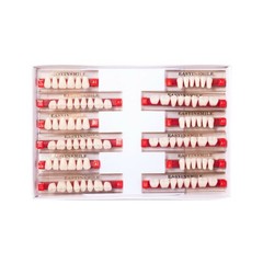 Dental Denture Teeth Acrylic Resin Teeth Full Set Upper Lower A1/A2/A3 3/8/16Set