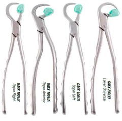 Premium Dental Extraction Forceps Standard Series Set of 4 Pcs (Free 25 Bumpers)