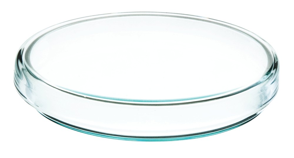 Eisco Labs Petri Dish, 100mm Diameter, 15mm Depth – Soda Lime Glass
