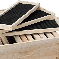 Beehive 10 Frame Add-On Super with 10 Deep Frames Langstroth Beekeeping
