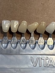 Vita Classical Shade Guide Dental Color Toothguide Teeth Whitening