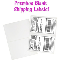 100 Pack, 50 10×13″ Flat Poly Mailers , 50 8.5×11 Blank Shipping Labels Combo