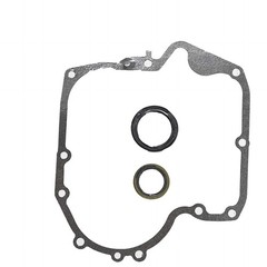 Oil Seal Combo Gasket and Crankcase Gasket Set for Briggs Stratton 697110 795387