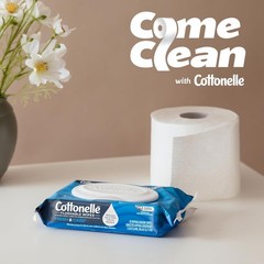 Cottonelle Fresh Care Flushable Wet Wipes, 42 Wipes Per Pack 168 Total Wipes