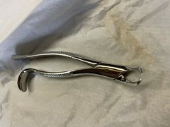 Dental Forceps 16S- Made in England 1st Choice. . New Stainless-Steel