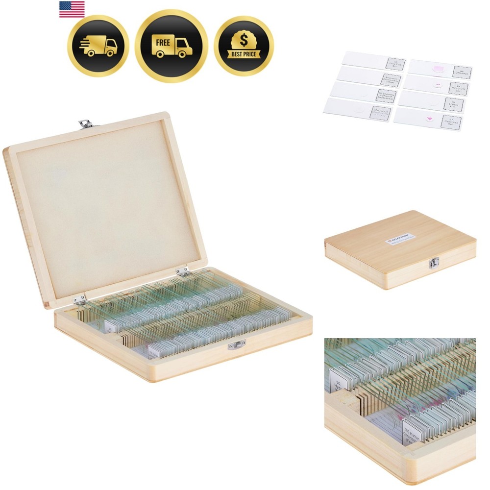 44412 Prepared Microscope Slides, Pack of 100
