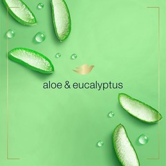 Dove Foaming Hand Wash 4 Count 10.1 Fl Oz (Pack of 4), Aloe and Eucalyptus