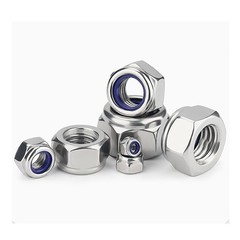M2 M3 M4 M5 M6-M30 Stainless Steel 304/316 Hex Nyloc Nut Nylon Insert Lock Nuts