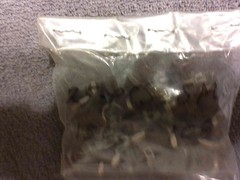 HH Smith 1508-108 connector lot of 25