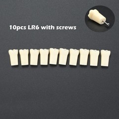 Kilgore NISSIN 200 Dental Typodont Individual Teeth Replacement for 32 Teeth