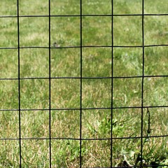 5’x100′ 12.5ga Galv Steel Black PVC Coated Welded Wire 4”x4” – Animal Fencing