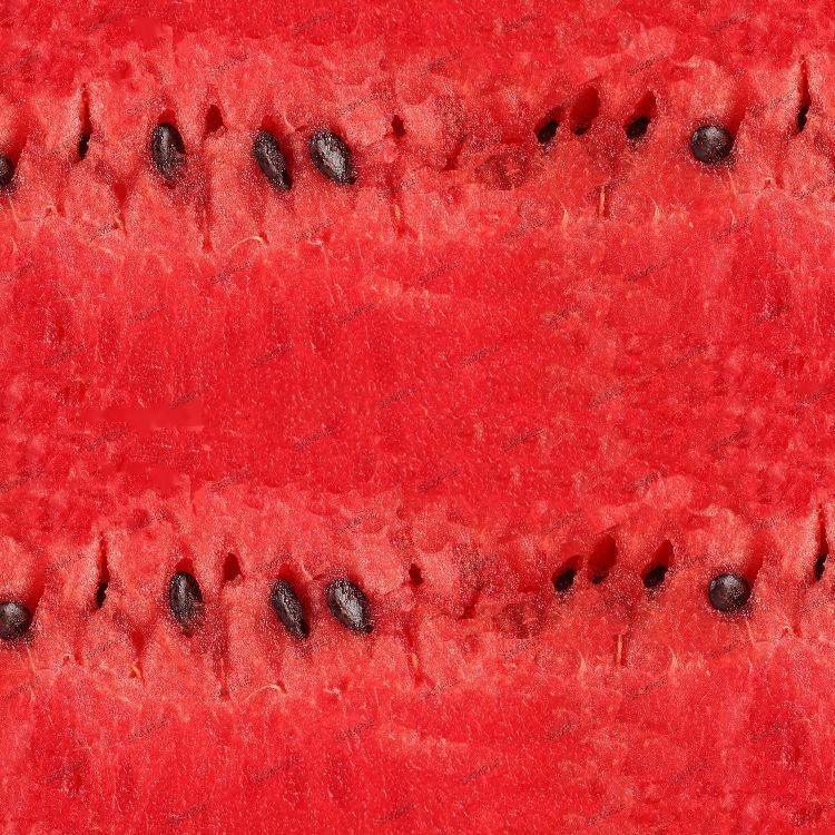 Watermelon Flesh – 16″ x 48″ Hydrographic Film Hydro Dipping