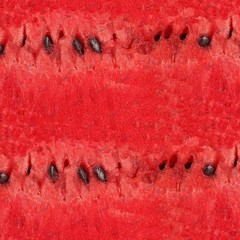 Watermelon Flesh – 16″ x 48″ Hydrographic Film Hydro Dipping