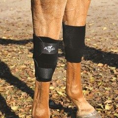 Equine Knee Boots, Color: Black, Size: Universal (KB101-BLA)