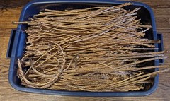 50 POUNDS BARE BRIGHT COPPER #1 STRIPPED BARE WIRE.