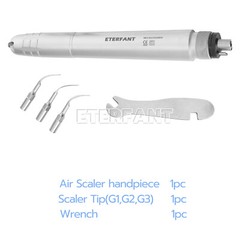 ENTERFANT Dental Ultrasonic Air Perio Scaler Handpiece Hygienist 2H/4H+3Tips
