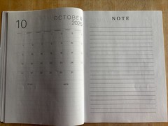 I Love Lucy – 2025 – 12-Month Calendar Planner Book – Lucille Ball