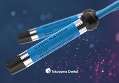 TOKUYAMA Estelite Posterior Tubes Dental Composite (Various Shades) Free Ship