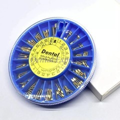 120pcs Dental Screw Post Gold/Silver Plated Titanium Kit Conical Root Canal Pins