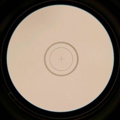DIV 0.01mm Microscope Reticle Cross Scale Ruler Eyepiece Micrometer Calibration