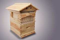 7pcs Automatic Honey Harvster Beehive Frames BPA FREE for Beekeeping Beekeepers