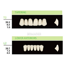 112 PCS Dental Lab Resin Teeth, Shade A4 Mold T2 L2, Complete False Denture Set