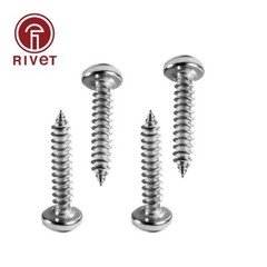 316 A4-70 Phillips Pan Round Head Self Tapping Wood Screw GB845 DIN EN ISO 7049
