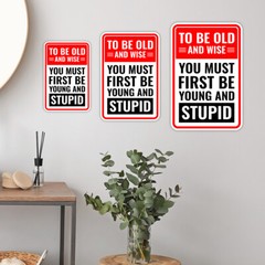Portrait Round Plus To Be Old And Wise You Must First Be Young And Stupid Sign