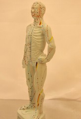 10″ human Chinese acupuncture model 26cm tall anatomical sculpture figurine New