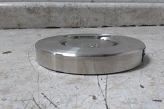 Champion 3SDS15-SSP-R 3 In Pipe Size Flange Connection Check Valve