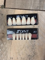 Z dent Synthetic Polymer False Teeth 2 Sets of 12 for 24 Total Size 266 267 A1