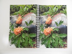 Blank Journal 5.5 × 8.5 Inches, Garden Angel – Peonies, Spiral Bound, 140 Pages