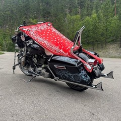 THIGHBRUSH® – ROJA – Water Repellent Motorcycle Cover and Sunshade