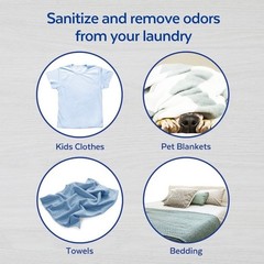 Lysol Laundry Sanitizer Crisp Linen 150oz 2 Pack Chlorine Free Disinfecting