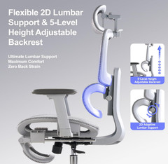 Silla de Oficina Ergonómica con Reposapiés, Cabecero 3D y Soporte Lumbar Gris