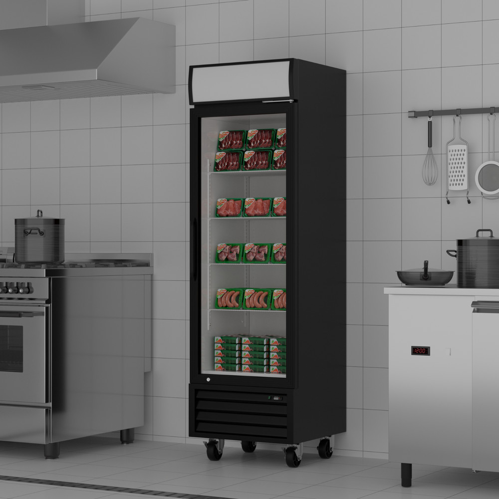 Commercial Reach in Freezer Glass Door Display Merchandiser Restaurant NSF 27″ W