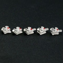 Orthodontic Self-ligating Brackets Ceramic Metal Braces Empower Clear Roth MBT