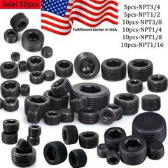 50pc Pipe Plugs Fittings Assortment Kit 5 Sizes NPT 1/16 1/8 1/4 3/8 1/2 3/4 NEW