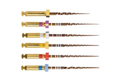 Dentsply A0409231G0103 ProTaper Gold Rotary Files Assortment Kit 31mm PTGRA31 6P