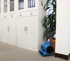 XPOWER P-80A 1/8 HP Mini Air Mover Carpet Dryer Blower Floor Fan w/ Dual Outlet