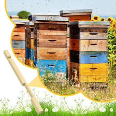 8 Pack Wooden Entrance Reducers for 10 Frame Beehives, 14.75 x 0.75 x 0.75 in