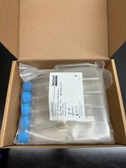 Corning REF 354486 BioCoat 150cm Rectangular Canted Neck Cell Culture Flask
