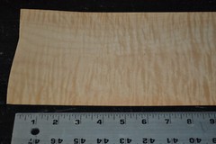 Curly Maple Raw Wood Veneer Sheet 6 x 49 inches 1/42nd 2306-05
