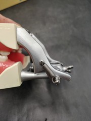 Kilgore Nissin Dental Model Typodont P15DP-TR.56C.1-QF Periodontal Hygiene Board