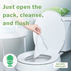 McKesson Flushable* Personal Wipe 6-9/10 X 7 Inch FLF48 1 Pack 48 Wipes