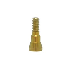 US Dental Healing Cap Screw Compatible with Straumann NC/RC CrossFit Implant Sys
