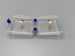 10x Denture False Inlay Teeth Membrane Case Hinged Display Jewelry Box 10x10x4cm