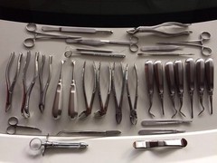 32 Pcs ORAL DENTAL EXTRACTION SURGERY EXTRACTING ELEVATORS FORCEPS INSTRUMENTS