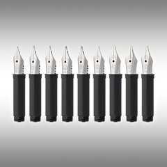 Kaweco Fountain Pen Calligraphy Nib – Steel – Broad – NEW