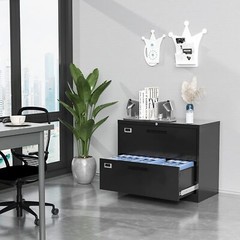 Metal Lateral File Cabinet 2 Drawer,Office Home Locking Filing Cabinet Organizer